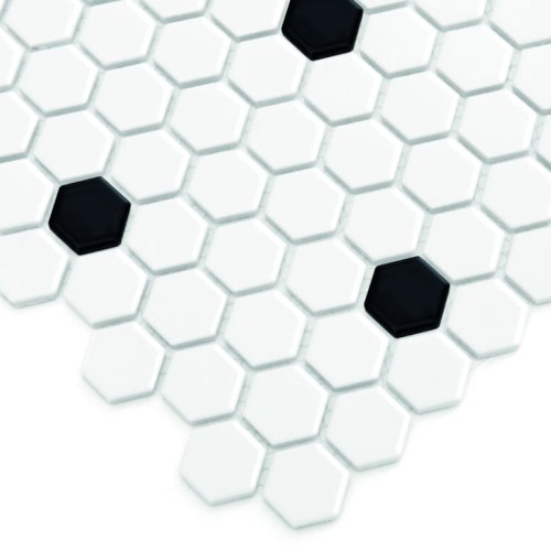 DUNIN MINI HEXAGON B&W SPOT GLOSSY