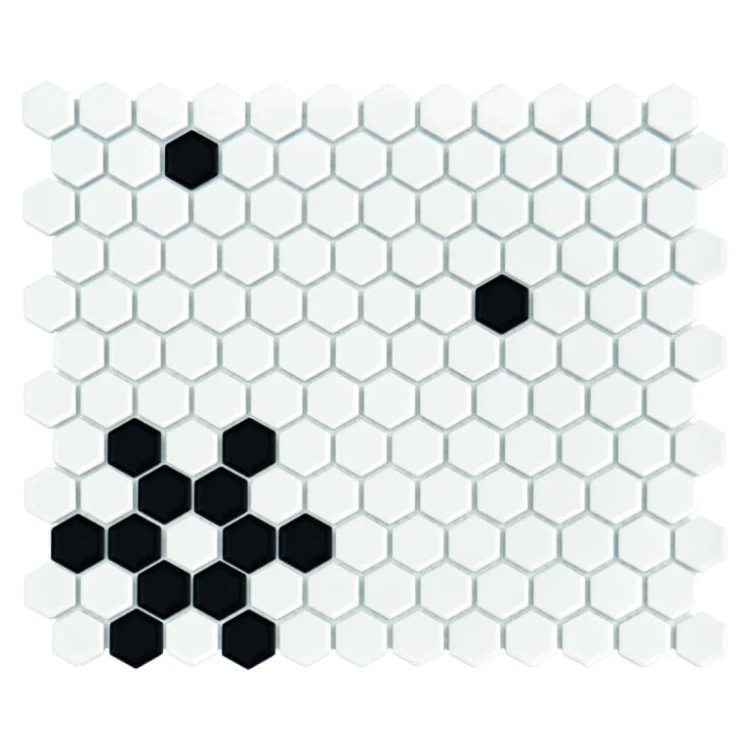 DUNIN MINI HEXAGON B&W SNOW GLOSSY