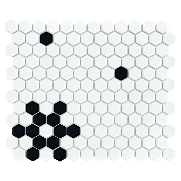 DUNIN MINI HEXAGON B&W SNOW GLOSSY